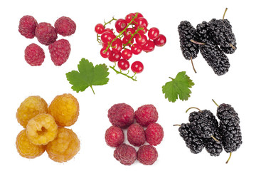 Raspberries,currants and mulberries isolated on white