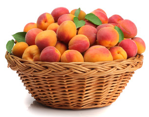 Apricots in a basket isolated on white