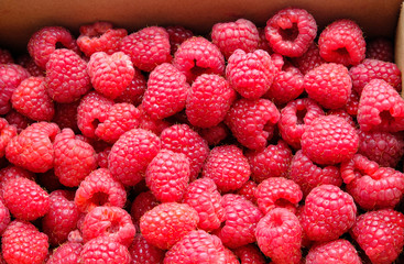 Delicious Raspberries Texture