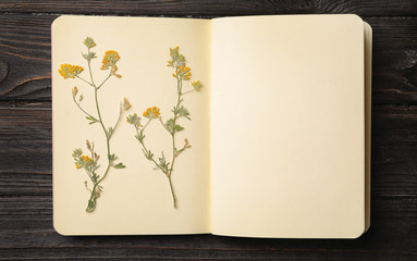 Wild dried meadow flowers in notebook on wooden background, top view