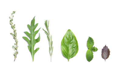 Composition with rosemary and other herbs on white background, top view