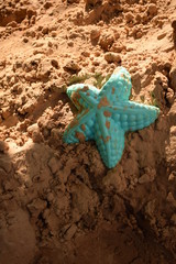 blue star on the sand
