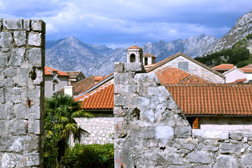 Kotor, czarnogóra © Urszula