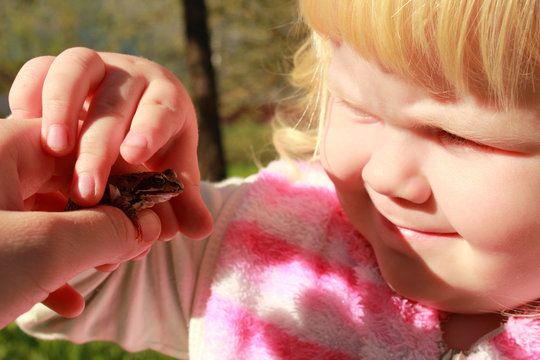 little girl gets acquainted with wildlife - wild frog
