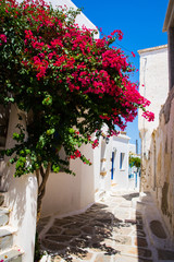 Alley in Lefkes village, Paros, Greece