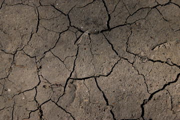 Cracked Dry Ground with Artifacts Texture 