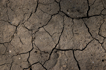 Cracked Dry Ground Texture Detail