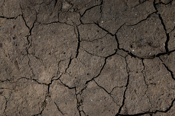 Cracked Dry Ground Texture