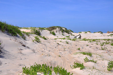 Sand Dune in Cape Hatteras National Seashore, on Hatteras Island, North Carolina, USA.