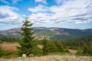 Blick vom Wurmberg auf den Nationalpark Harz. Im Hintergrund befindet sich der Gipfel des Brocken.