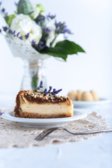 Delicious cheesecake on bright background