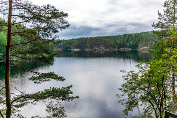 The quiet wild forest on the shore of the Saimaa lake in the Kolovesi National Park in Finland - 21