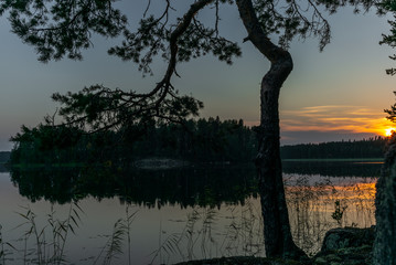 Pine trees reflecting on the calm waters of the Saimaa lake in the Kolovesi National Park in Finland - 12