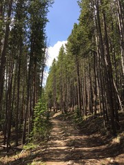 Burro Trail Breckenridge Colorado