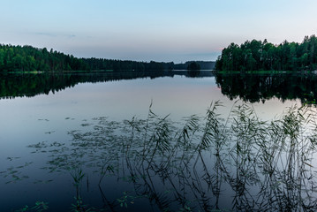 Sunset on the shores of the calm Saimaa lake in the Kolovesi National Park in Finland - 14