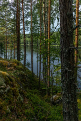 The Saimaa lake in the Kolovesi National Park in Finland  seen through the trees on its shores - 3