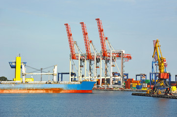 Bulk cargo ship under port crane