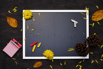 Black chalkboard. School supplies, fallen leaves and coniferous cones.