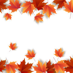 Autumn leaves. Bright colourful autumn oak leaves. Template for 
