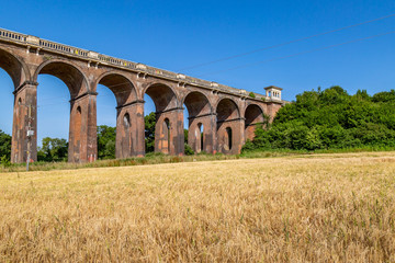 Crops growing in fields around the Ouse Valley Viaduct, in Sussex