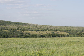 Пейзажи Саратова