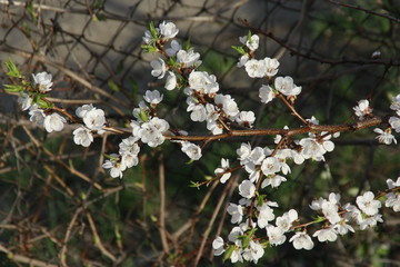 Пейзажи Саратова