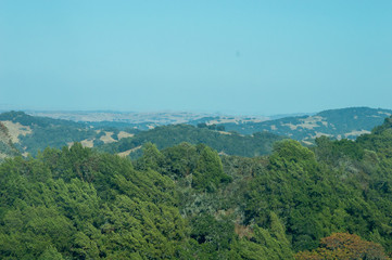 Fototapeta premium Rolling Hills
