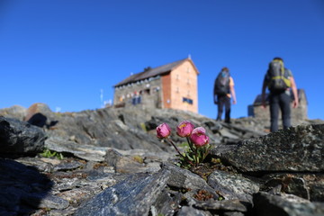 Hochstubaih&uuml;tte in den &Ouml;tztaler Alpen
