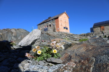 Hochstubaih&uuml;tte in den &Ouml;tztaler Alpen
