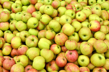 Ripe apples
