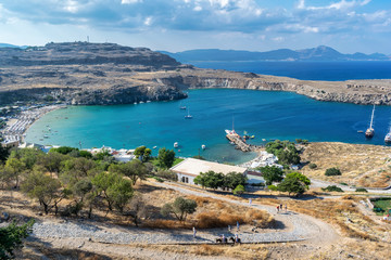 Naklejka premium Donkey Road