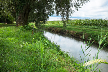 Fototapeta na wymiar Fluss in Landschaft