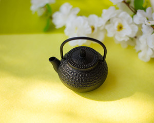 side view of cast iron teapot on bright yellow background