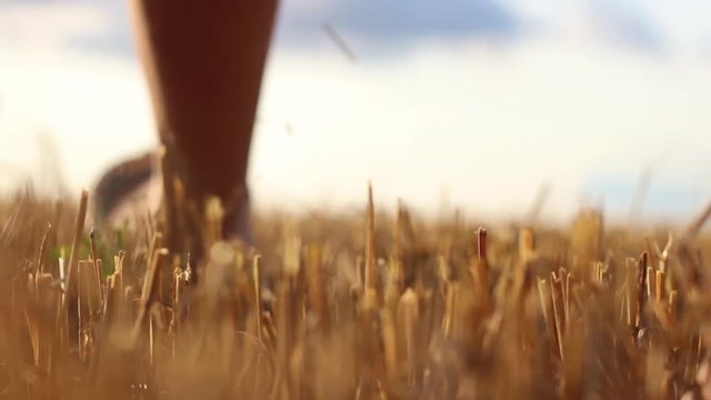 Close Up of Woman Walking Through the Wheat Harvest Field
And the Bokeh Background for Text
