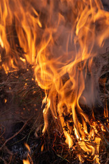 fire, burn a bunch of dry grass