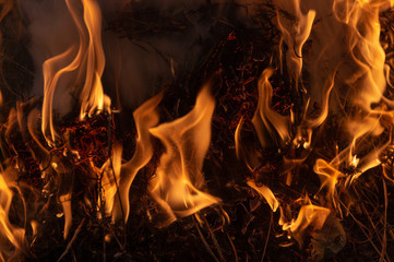 fire, burn a bunch of dry grass