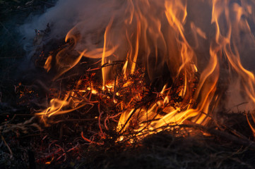 fire, burn a bunch of dry grass