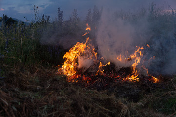 fire, burn a bunch of dry grass