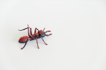 Plastic little ant