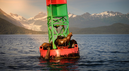 Seals on top floater