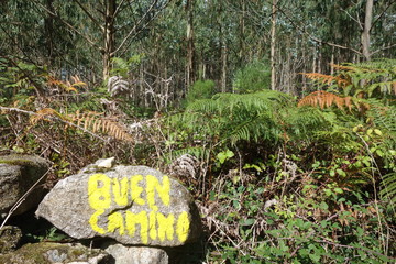 buen camino als wegweiser am stein