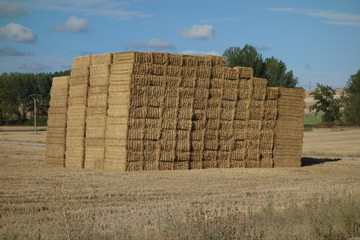 gestapelte eckige Strohballen