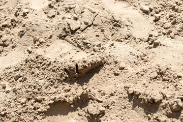 background of yellow sand