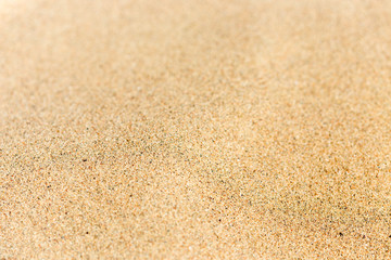 Fototapeta na wymiar sand on white macro