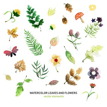 Set of watercolor autumn flowers and leaves in vector. Beautiful vector hand drawn elements for postcards, banners and prints.