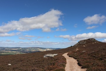 Path along hillside