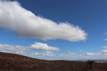 Fluffy white clouds over moors