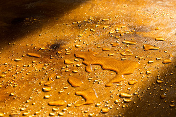 a drop of water golden flowers, on a yellow surface during sunset