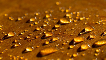 a drop of water golden flowers, on a yellow surface during sunset