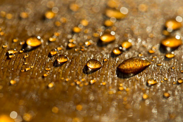 a drop of water golden flowers, on a yellow surface during sunset